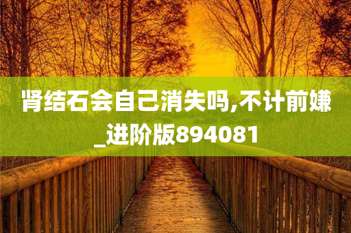 肾结石会自己消失吗,不计前嫌_进阶版894081