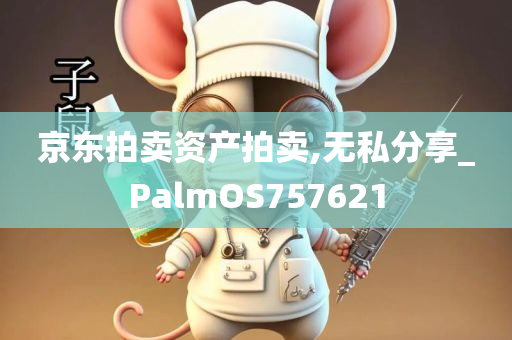 京东拍卖资产拍卖,无私分享_PalmOS757621