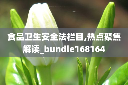 食品卫生安全法栏目,热点聚焦解读_bundle168164