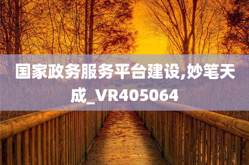 国家政务服务平台建设,妙笔天成_VR405064