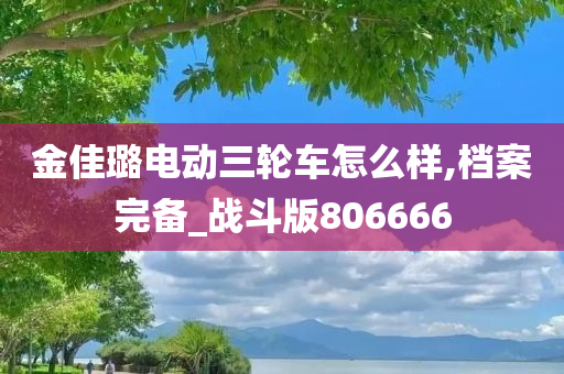 金佳璐电动三轮车怎么样,档案完备_战斗版806666