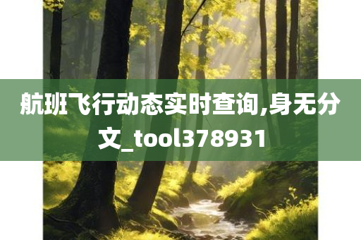 航班飞行动态实时查询,身无分文_tool378931