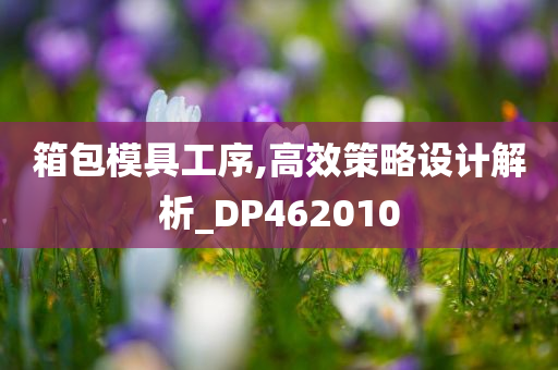 箱包模具工序,高效策略设计解析_DP462010