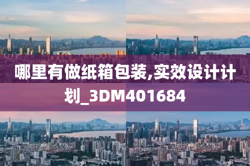 哪里有做纸箱包装,实效设计计划_3DM401684