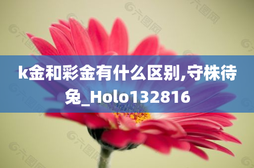 k金和彩金有什么区别,守株待兔_Holo132816