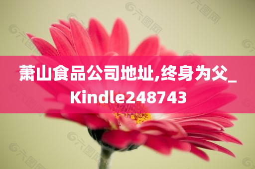 萧山食品公司地址,终身为父_Kindle248743