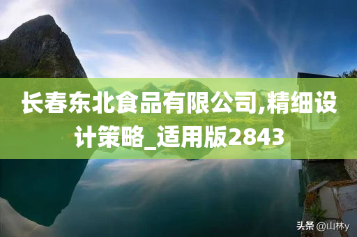 长春东北食品有限公司,精细设计策略_适用版2843