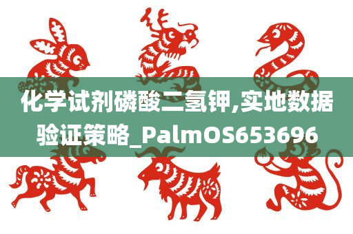 化学试剂磷酸二氢钾,实地数据验证策略_PalmOS653696