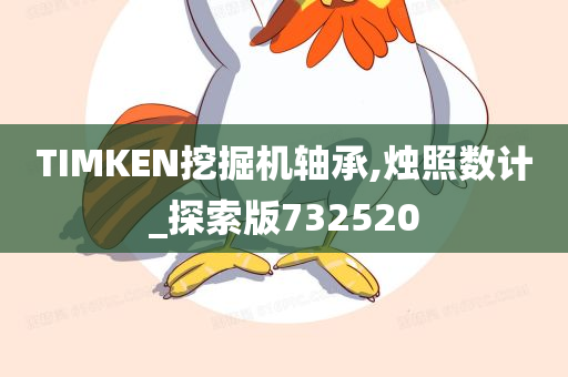 TIMKEN挖掘机轴承,烛照数计_探索版732520