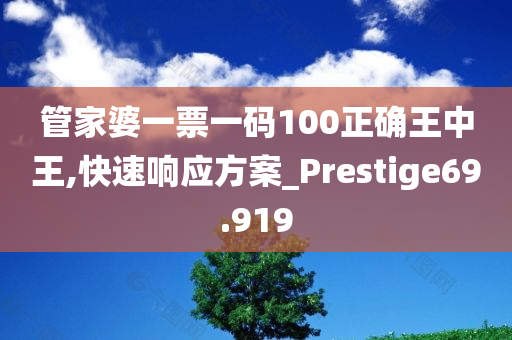 管家婆一票一码100正确王中王,快速响应方案_Prestige69.919