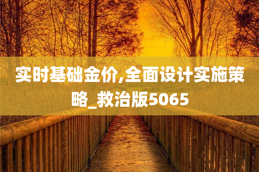 实时基础金价,全面设计实施策略_救治版5065