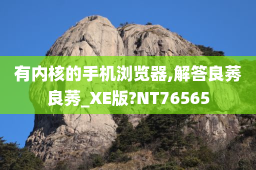 有内核的手机浏览器,解答良莠良莠_XE版?NT76565