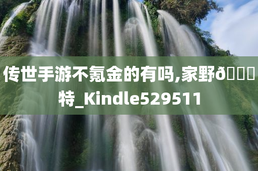 传世手游不氪金的有吗,家野🀄特_Kindle529511