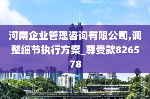 河南企业管理咨询有限公司,调整细节执行方案_尊贵款826578