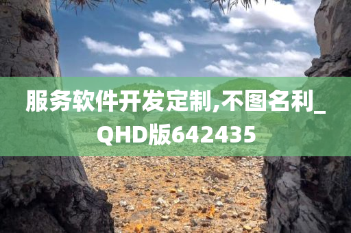 服务软件开发定制,不图名利_QHD版642435