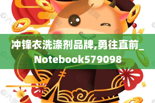 冲锋衣洗涤剂品牌,勇往直前_Notebook579098