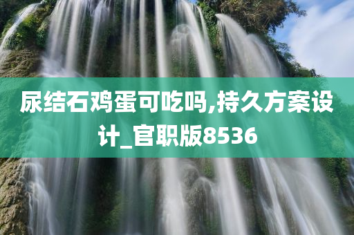 尿结石鸡蛋可吃吗,持久方案设计_官职版8536