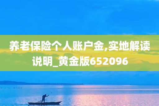 养老保险个人账户金,实地解读说明_黄金版652096