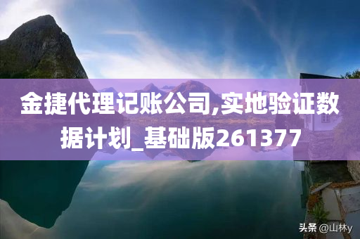 金捷代理记账公司,实地验证数据计划_基础版261377