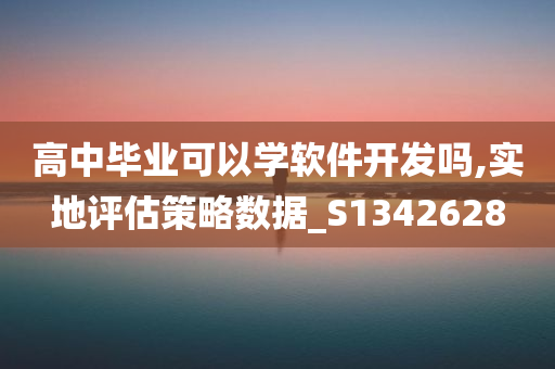 高中毕业可以学软件开发吗,实地评估策略数据_S1342628