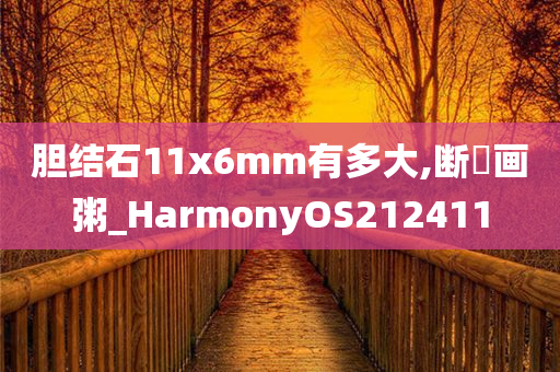 胆结石11x6mm有多大,断虀画粥_HarmonyOS212411