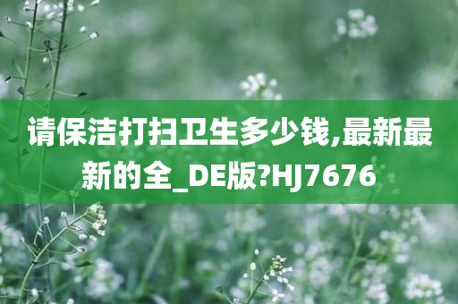 请保洁打扫卫生多少钱,最新最新的全_DE版?HJ7676