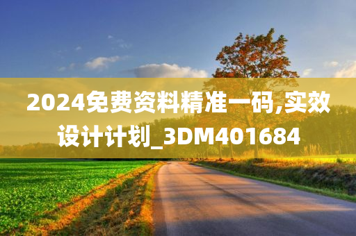 2024免费资料精准一码,实效设计计划_3DM401684