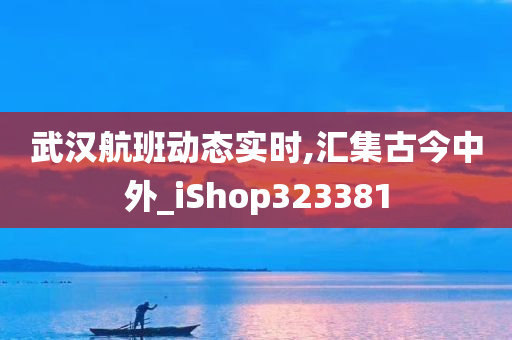 武汉航班动态实时,汇集古今中外_iShop323381