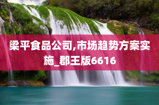 梁平食品公司,市场趋势方案实施_郡王版6616