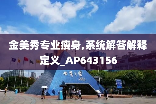 金美秀专业瘦身,系统解答解释定义_AP643156