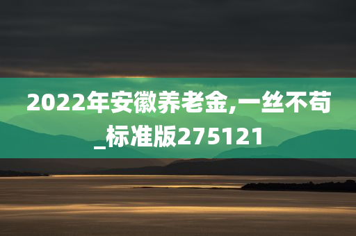 2022年安徽养老金,一丝不苟_标准版275121