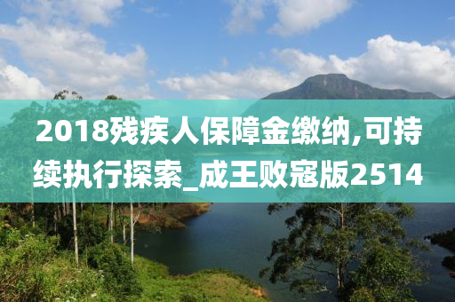 2018残疾人保障金缴纳,可持续执行探索_成王败寇版2514