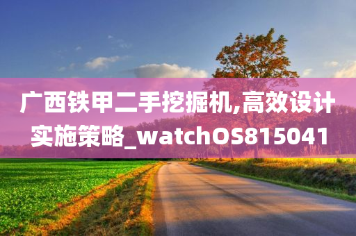 广西铁甲二手挖掘机,高效设计实施策略_watchOS815041