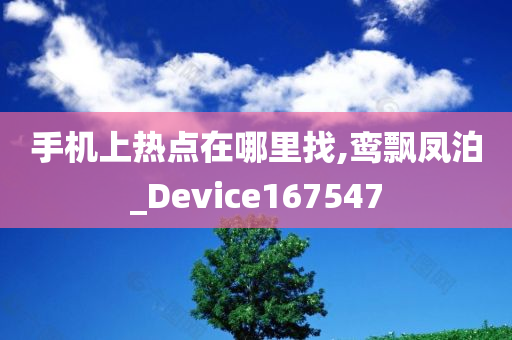 手机上热点在哪里找,鸾飘凤泊_Device167547