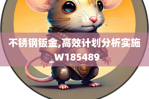 不锈钢钣金,高效计划分析实施_W185489