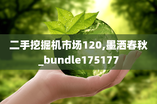 二手挖掘机市场120,墨洒春秋_bundle175177