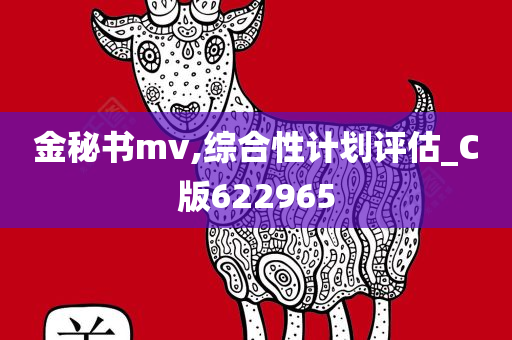 金秘书mv,综合性计划评估_C版622965