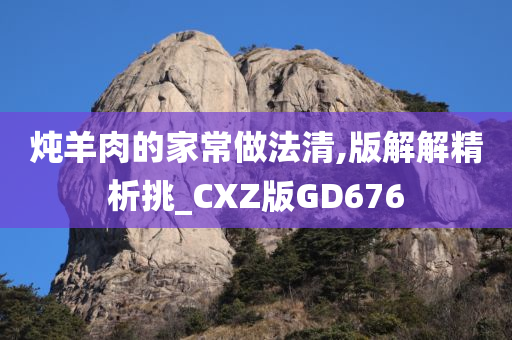 炖羊肉的家常做法清,版解解精析挑_CXZ版GD676