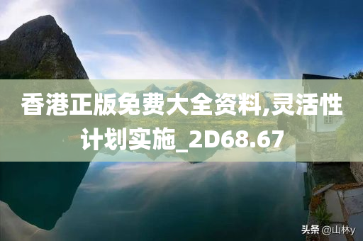 香港正版免费大全资料,灵活性计划实施_2D68.67