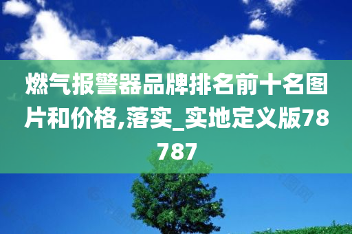 燃气报警器品牌排名前十名图片和价格,落实_实地定义版78787