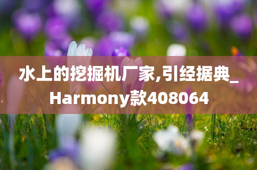 水上的挖掘机厂家,引经据典_Harmony款408064