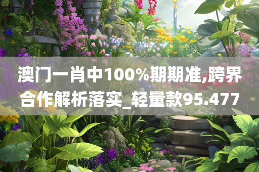 澳门一肖中100%期期准,跨界合作解析落实_轻量款95.477