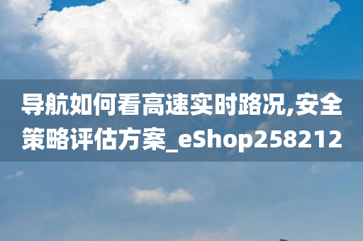 导航如何看高速实时路况,安全策略评估方案_eShop258212