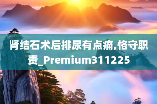 肾结石术后排尿有点痛,恪守职责_Premium311225