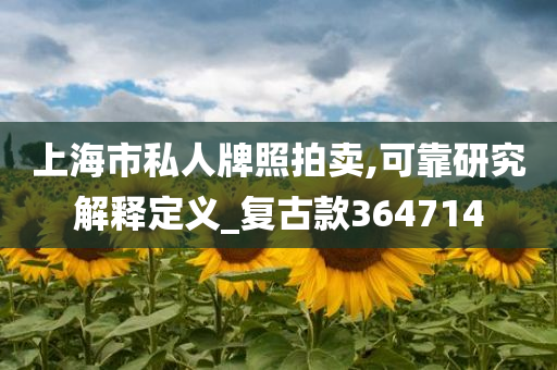 上海市私人牌照拍卖,可靠研究解释定义_复古款364714