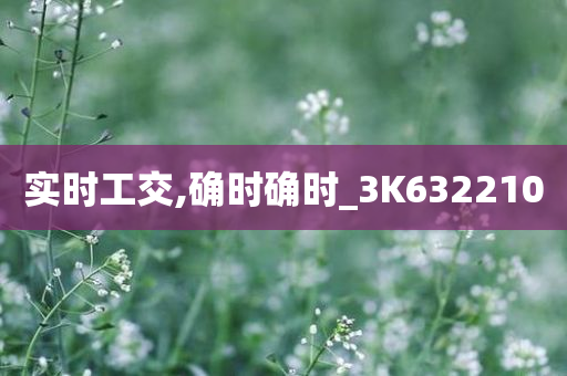 实时工交,确时确时_3K632210