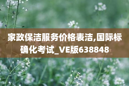 家政保洁服务价格表洁,国际标确化考试_VE版638848