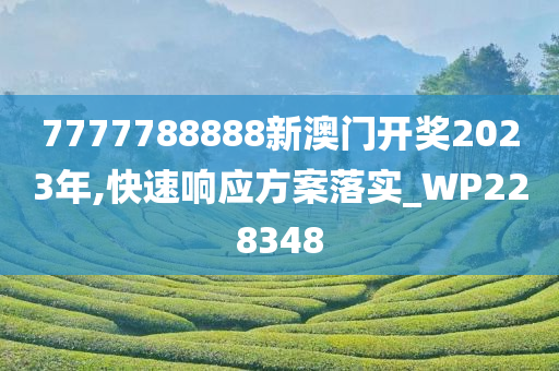 7777788888新澳门开奖2023年,快速响应方案落实_WP228348