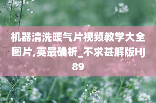 机器清洗暖气片视频教学大全图片,英最确析_不求甚解版HJ89