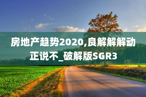 房地产趋势2020,良解解解动正说不_破解版SGR3